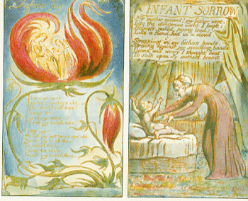 lefiguredeilibri.Doppia_Blake