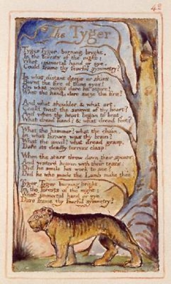 lefiguredeilibri.Tigre_Blake