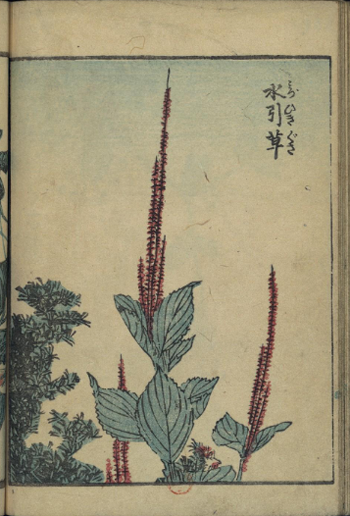Hokusai5