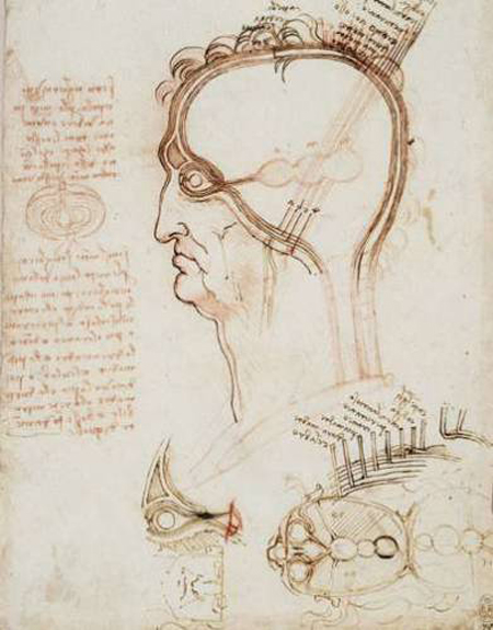 disegni_leonardo_da_vinci