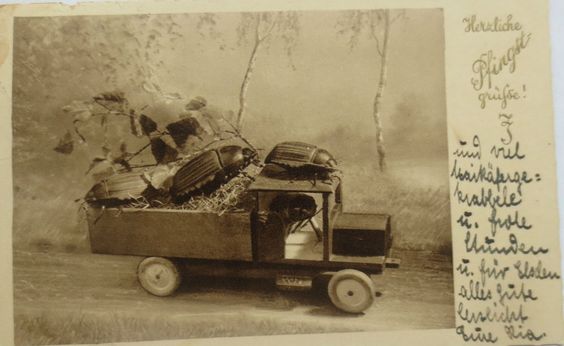 cartolina_camion_insetti