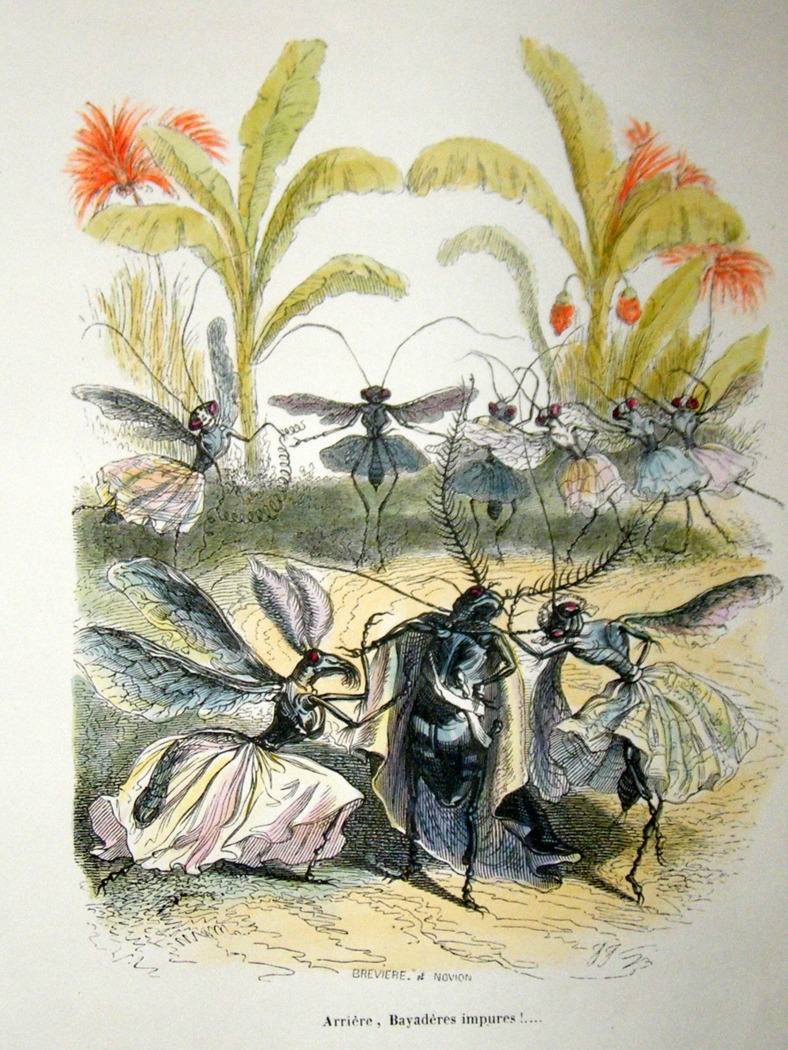 grandville_1843